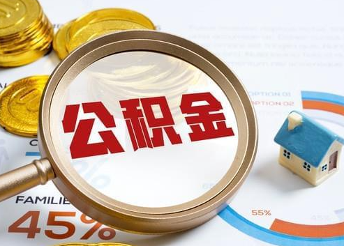 锡林郭勒2025年政策调整对个人影响综合解析‌